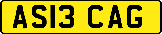 AS13CAG