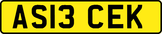 AS13CEK