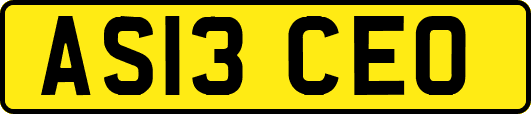 AS13CEO