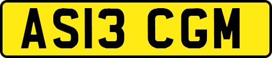 AS13CGM