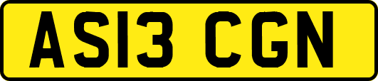 AS13CGN