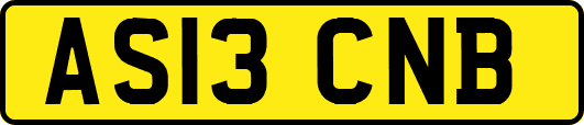 AS13CNB