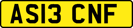AS13CNF