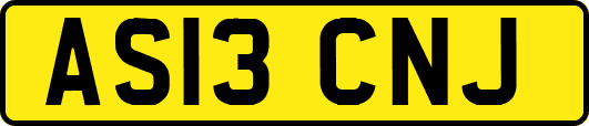AS13CNJ