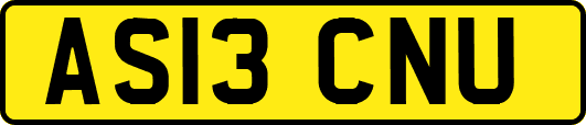 AS13CNU