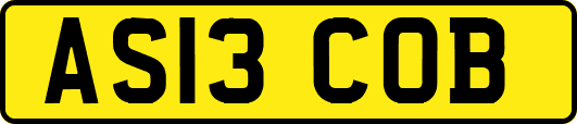 AS13COB