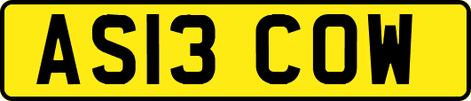 AS13COW
