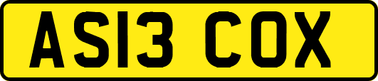 AS13COX