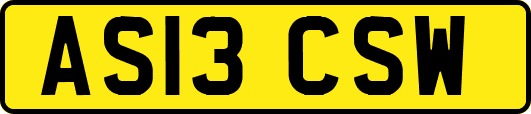 AS13CSW