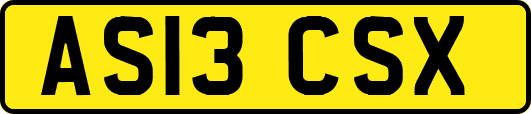 AS13CSX