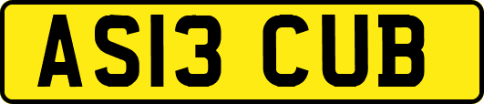 AS13CUB
