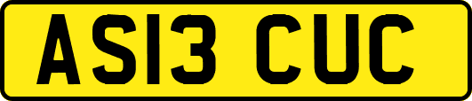 AS13CUC