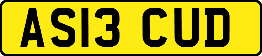 AS13CUD