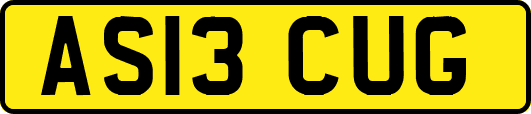 AS13CUG