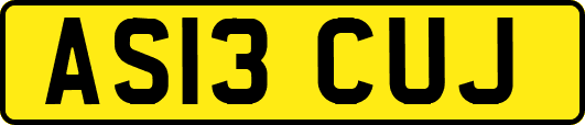 AS13CUJ