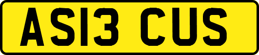 AS13CUS