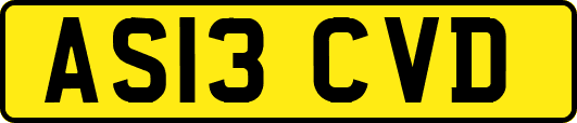 AS13CVD