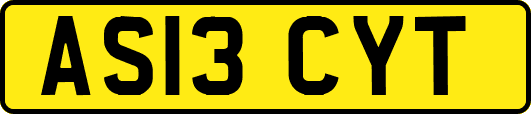 AS13CYT