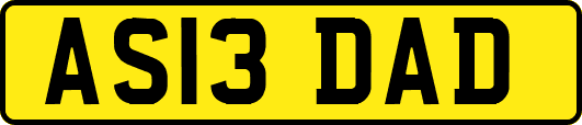 AS13DAD