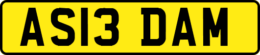 AS13DAM