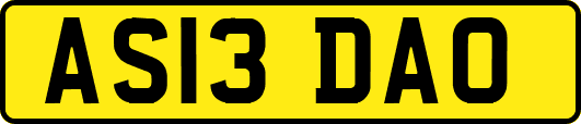 AS13DAO