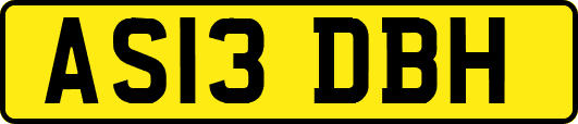 AS13DBH