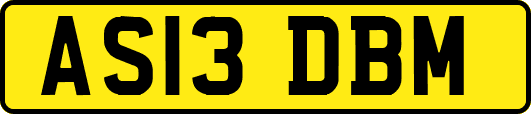 AS13DBM