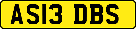 AS13DBS