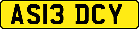 AS13DCY