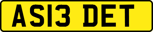 AS13DET