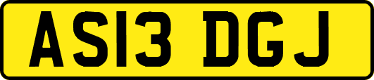 AS13DGJ