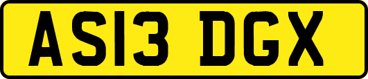 AS13DGX
