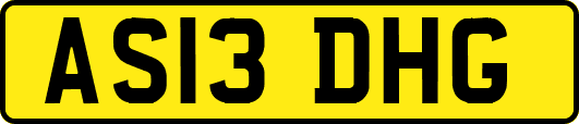 AS13DHG