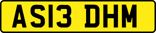 AS13DHM