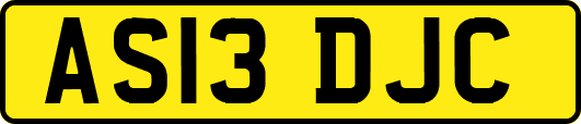 AS13DJC