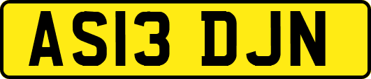 AS13DJN