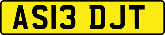 AS13DJT