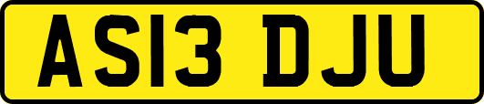 AS13DJU