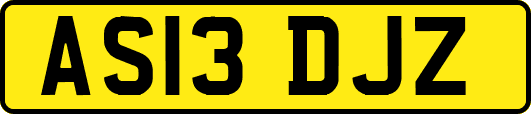 AS13DJZ