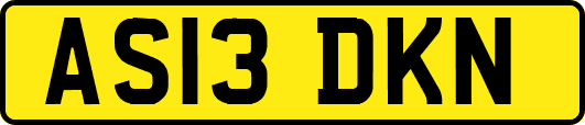 AS13DKN
