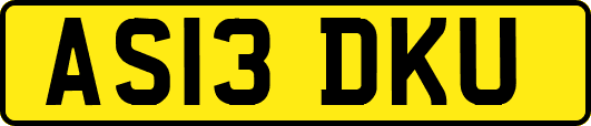 AS13DKU