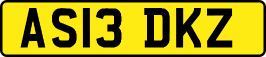 AS13DKZ