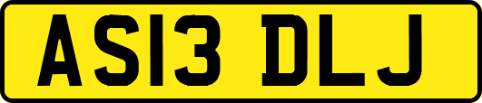 AS13DLJ
