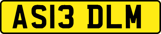AS13DLM