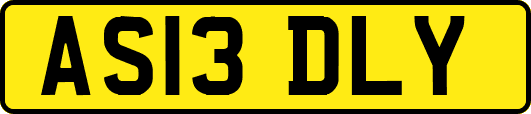 AS13DLY