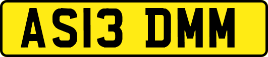 AS13DMM