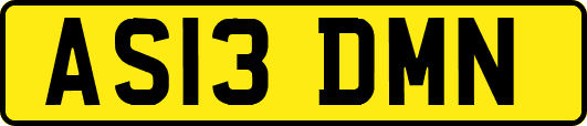 AS13DMN