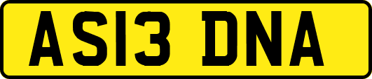 AS13DNA