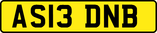 AS13DNB