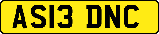 AS13DNC